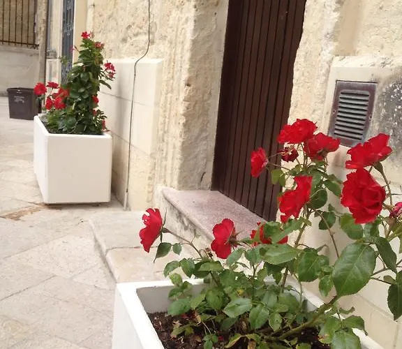 Corte Dei Mesagnesi Bed & Breakfast *